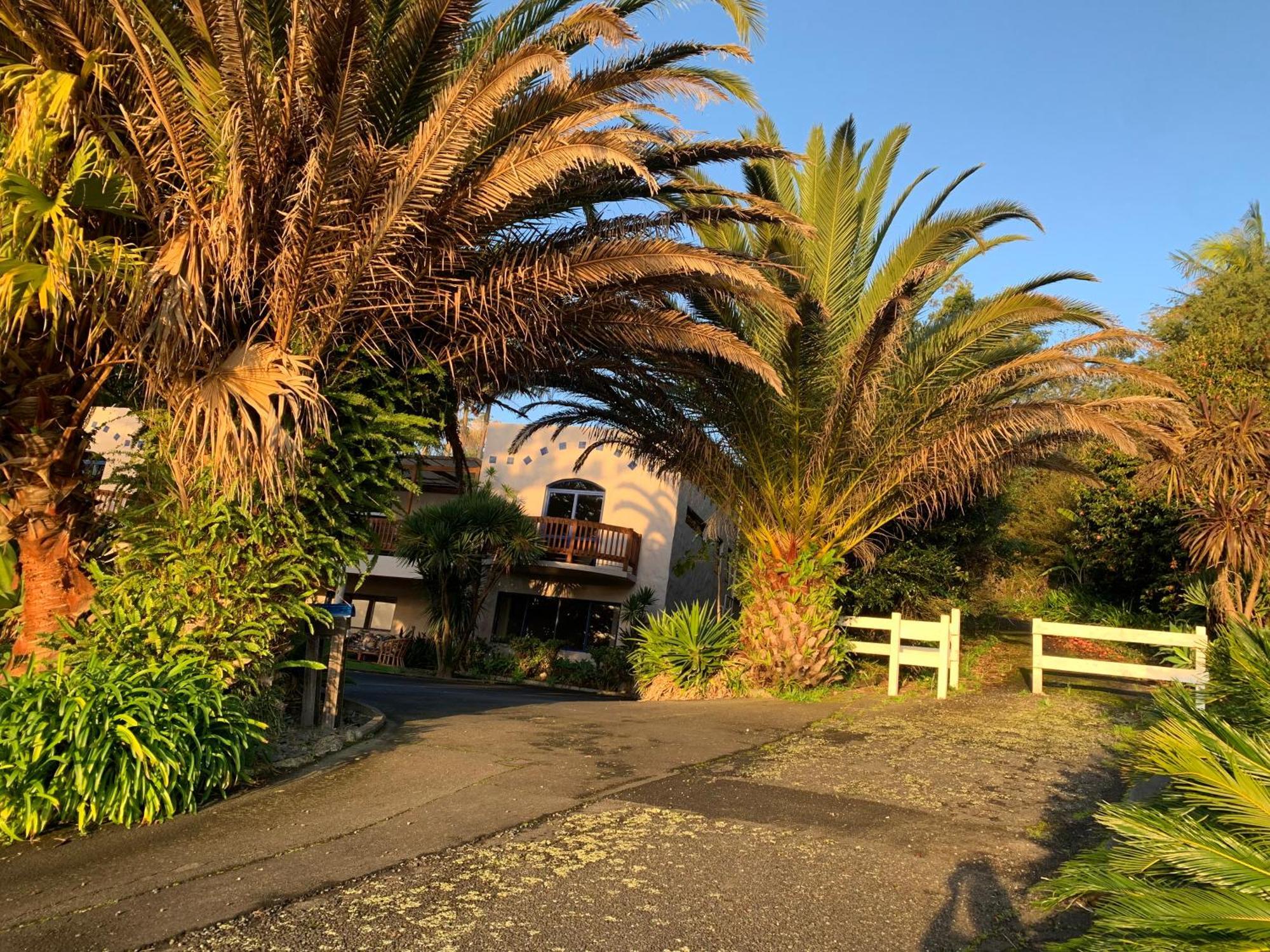 Seaview House Unit 2A Villa Whangarei Eksteriør billede
